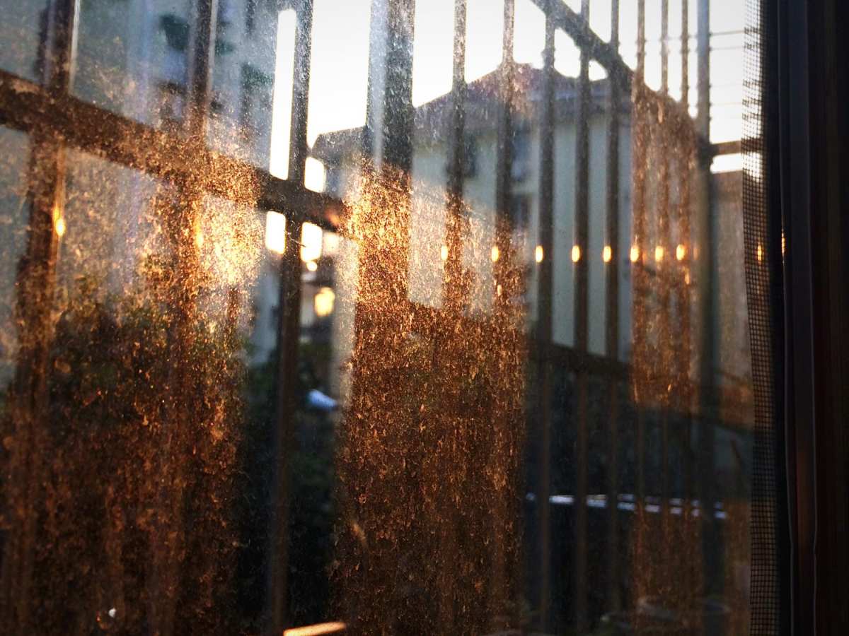 Protección de ventanas contra el sobrecalentamiento solar